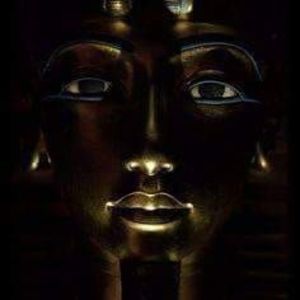 Meet your Posher, Ronald